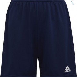 ΒΕΡΜΟΥΔΑ ΚΟΔ.447